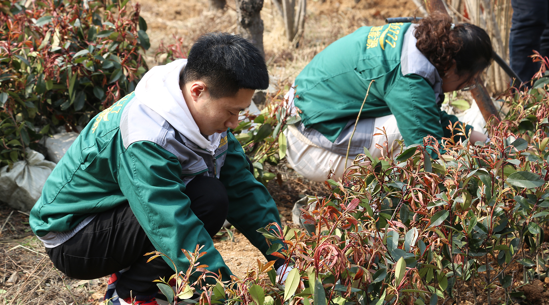 植樹5.jpg